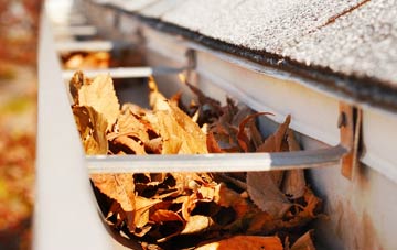 Lewdown gutter cleaning companies