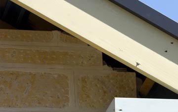 soffit repair Lewdown