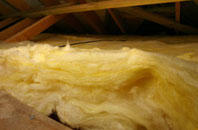 Lewdown pitch roof insulation