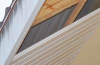 rated Lewdown soffit repair companies